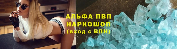 хмурый Арсеньев