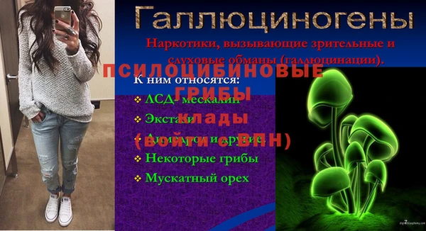 тгк Армянск