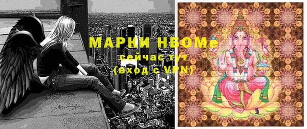 хмурый Арсеньев