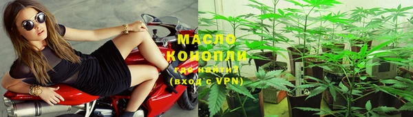 хмурый Арсеньев