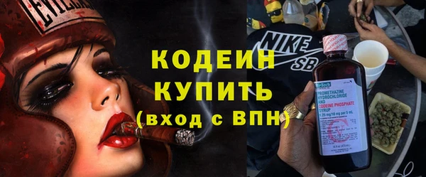 хмурый Арсеньев