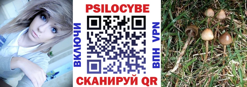 Псилоцибиновые грибы Psilocybe  Асбест 